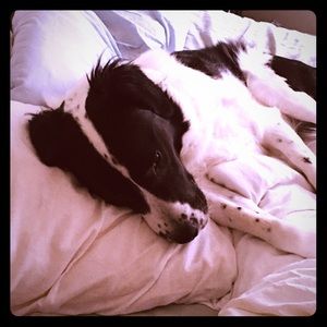 Meet your Posher, Patricia